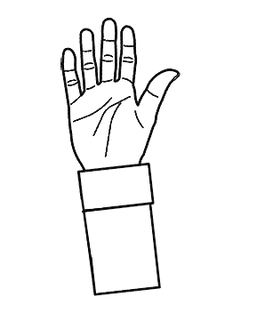 HandPalm.png